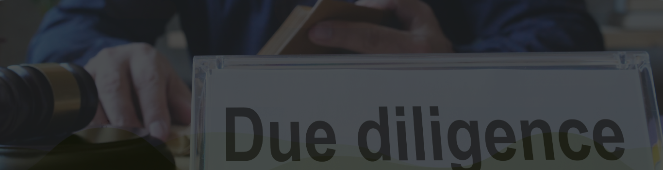 IP Due Diligence
